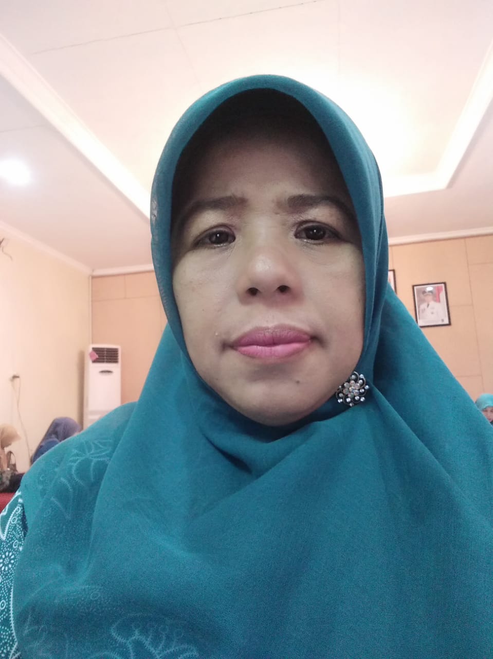 biodata